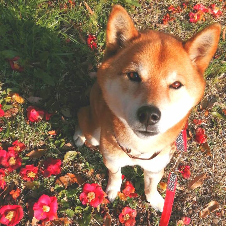 5eac1660 6475 4a77 a6a9 b2feb552a296 1648117252680