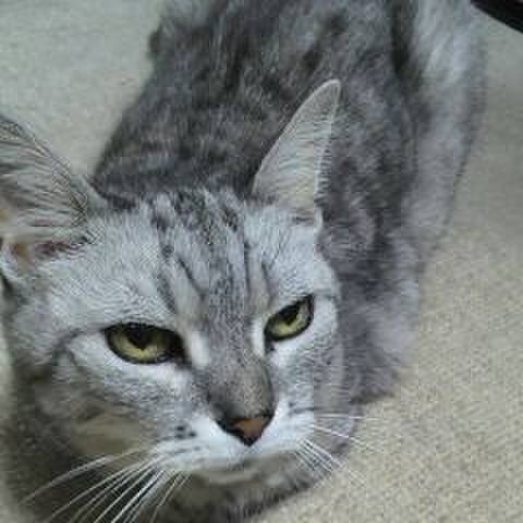 5eac29c5 f2a9 4b51 8de4 c831c25f089c 1508562384116