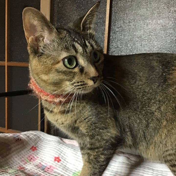 5eac3ac8 4cd9 49b8 8166 4adb187cc4c9 1634029411820