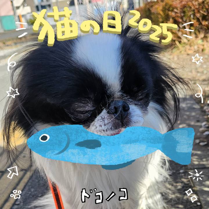 5eac7830 7031 4014 b8b2 e12d37ca142a 1740207407679