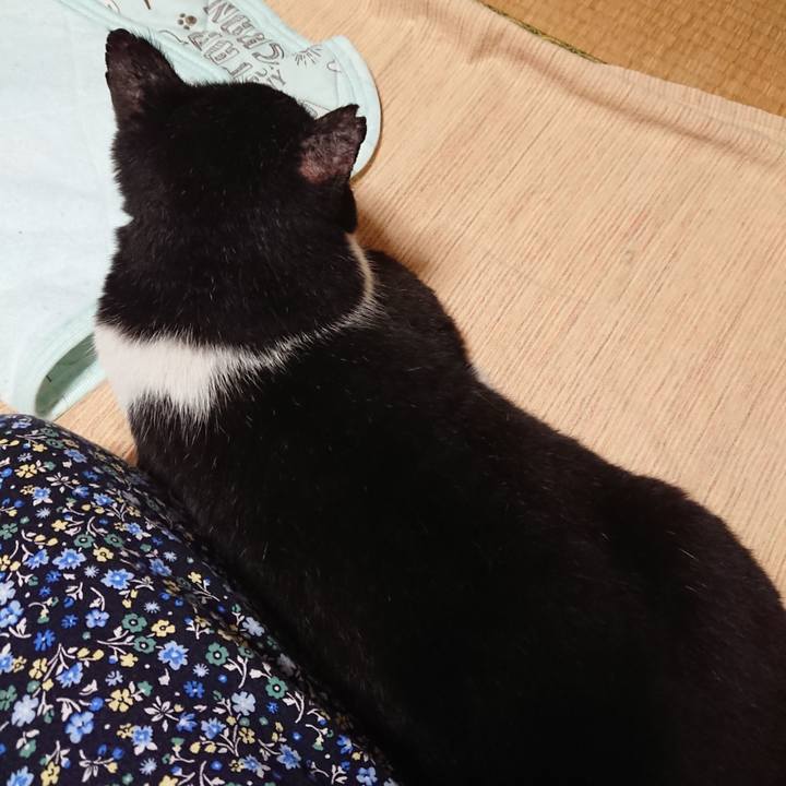 5eacaf99 9398 46a6 a633 43dc14667dcd 1628291854975