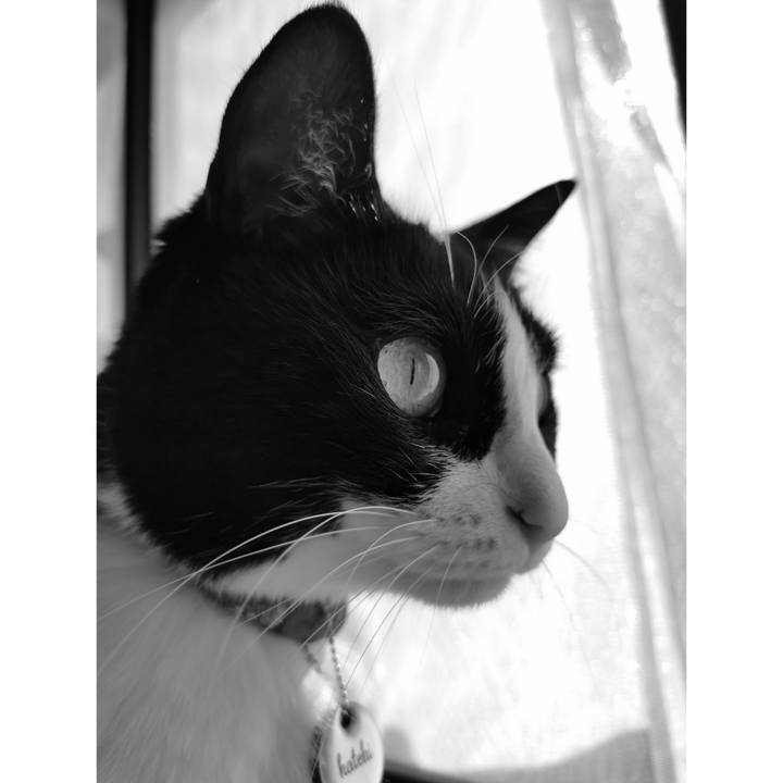 5eacbcfe 990f 4e1d b31c fee601fd46a8 1670047406035