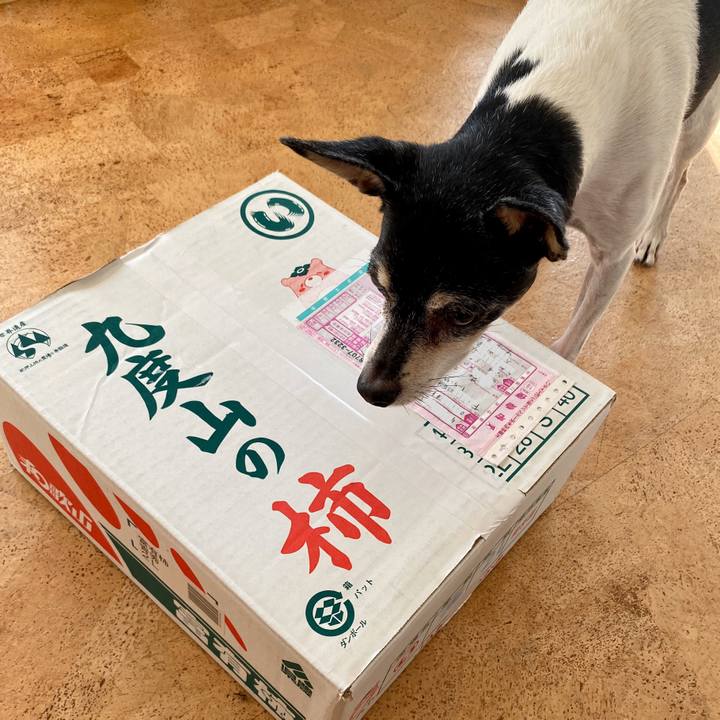 5eacc342 d973 4720 ac87 c8692d1a073a 1575173990609