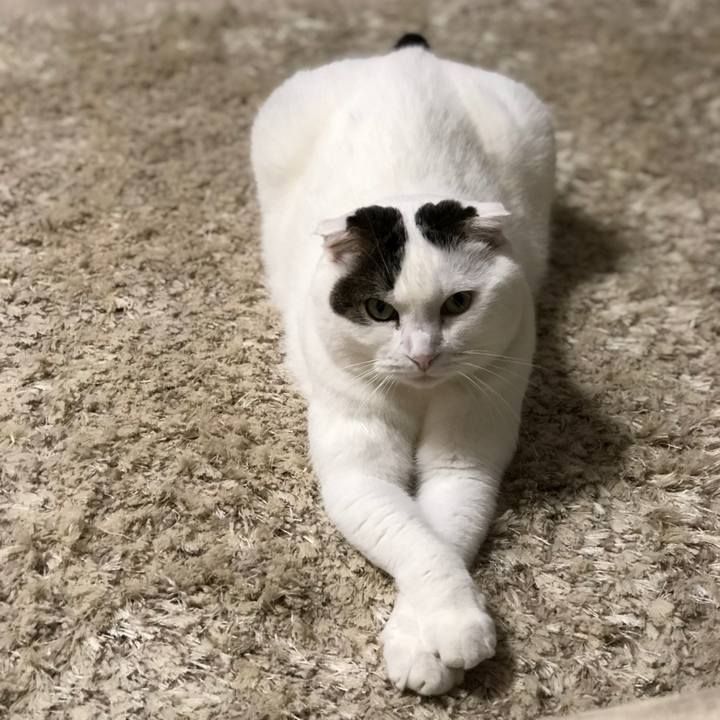 5eacd110 1ae3 44dd a0bc ac202d87e2b4 1539688615649