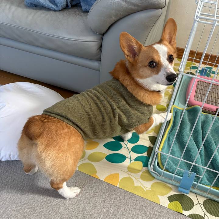 5ead1e20 753f 445e 9614 ae63d2d55eef 1764308639771