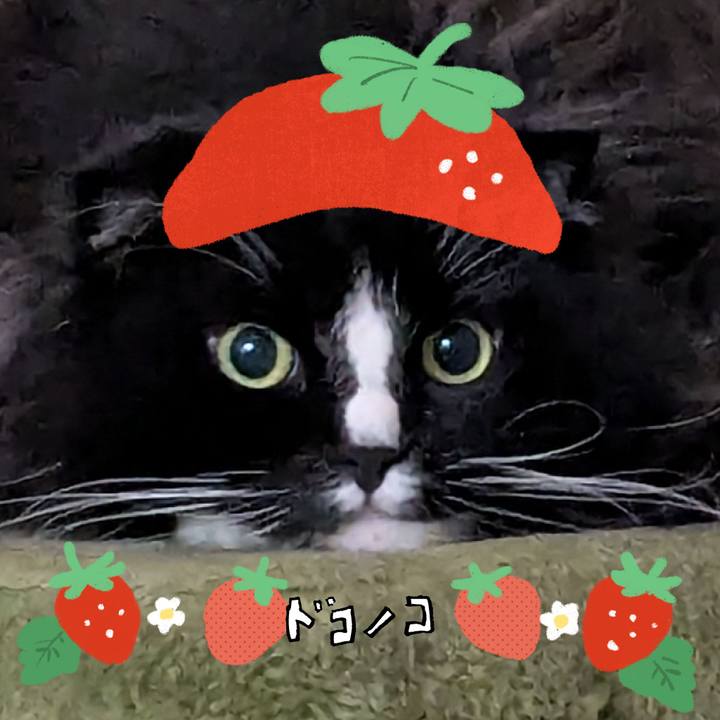 5ead6010 08c0 4fd0 a7e3 d19f08aa144b 1775220749999