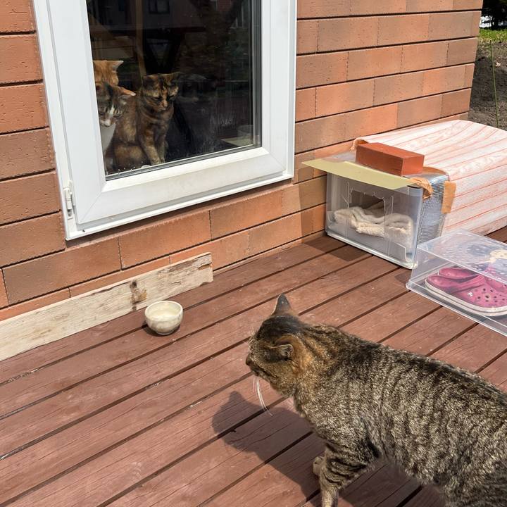 5ead651a 3cf1 4a0d b933 0fd8b4142fae 1746762297994