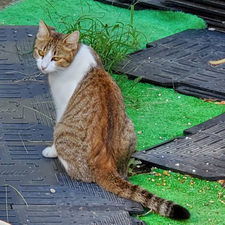 5eaddb3c c83d 4580 a9f9 cdcd6bf93507 1695080532563