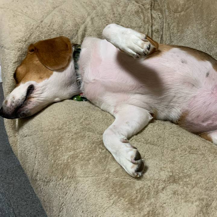 5eae1409 340c 49b3 8a56 d718e6145ca8 1587134476158