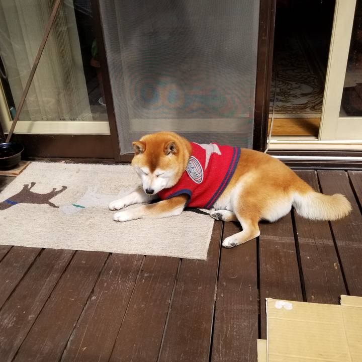 5eae1790 690c 4f61 8767 7827b03f31fb 1554603724295