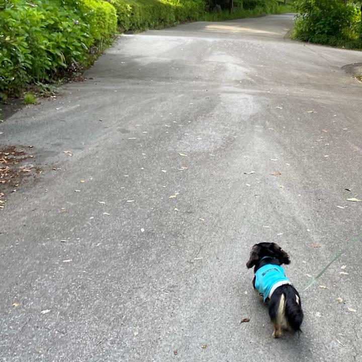 5eae3a7a 6331 4012 93db fbc57b50765d 1688334781134