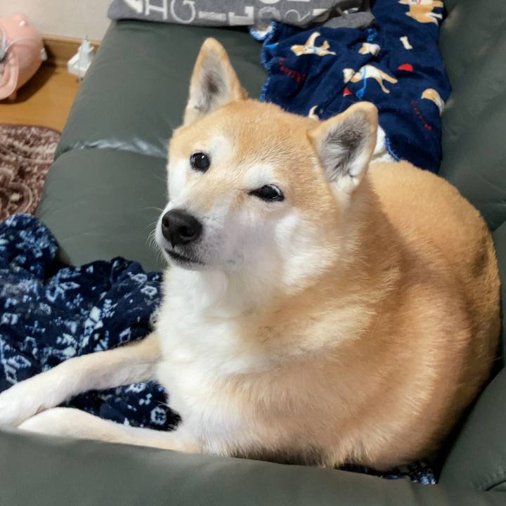 5eae9a9a a757 4f68 87c0 b70b4af06b73 1611918375575