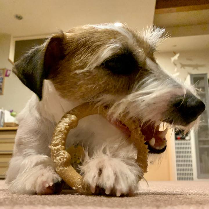 5eaeca31 3824 4a24 b6da 68464f69e171 1607937062594