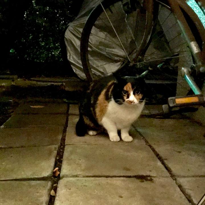 5eaee539 0eff 4c16 80b9 4fe489d669f9 1548471786970