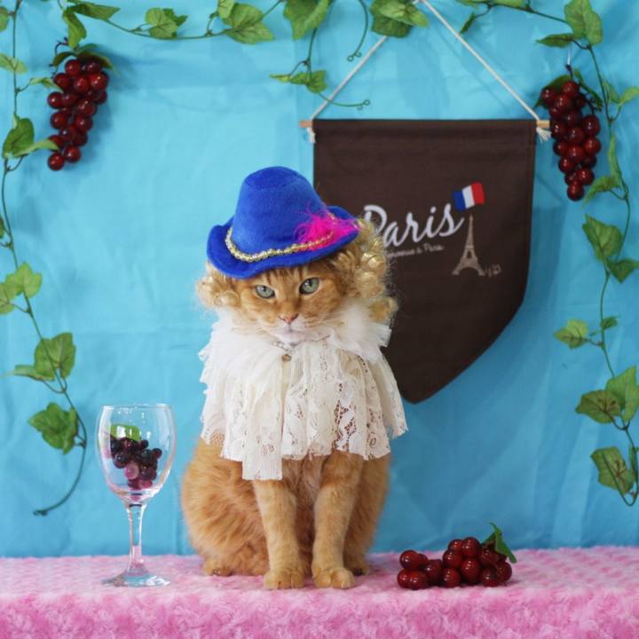 5eaef362 cc51 4bf8 aa0d d949fd3917a2 1636165375573