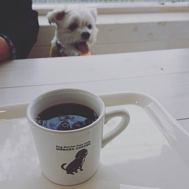 5eaefc8b c6d1 4777 94ca 8a24d2629f61 1634462206975