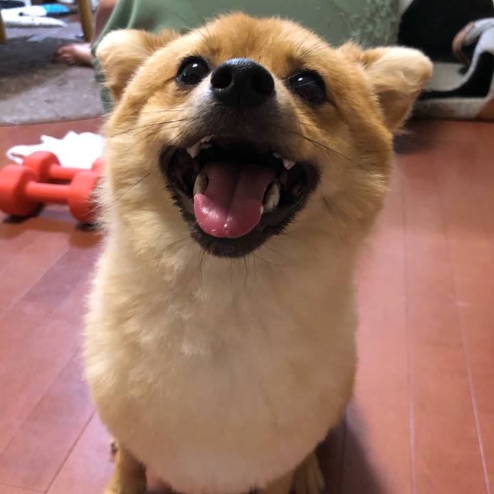 5eaf4a28 c40d 4c61 9e9b 9a115afb541f 1597588135072