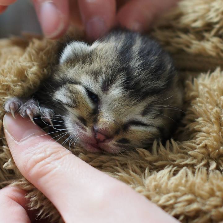 5eaf5e0f dbae 4f79 a2de a2584e126088 1558757705422