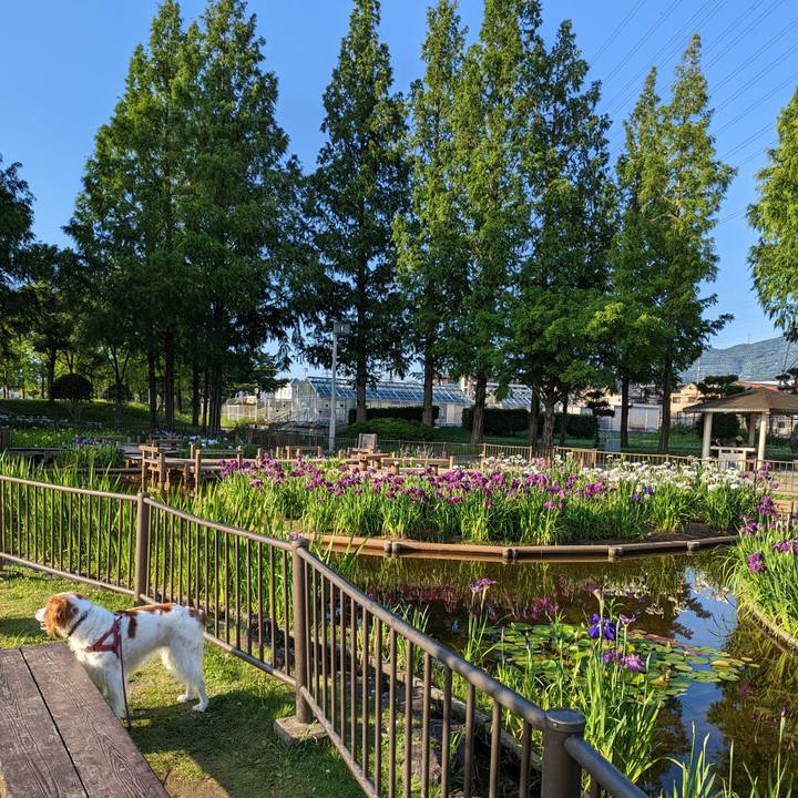 5eaf6183 14ce 470e 8c45 2c5011aaf353 1685538433048