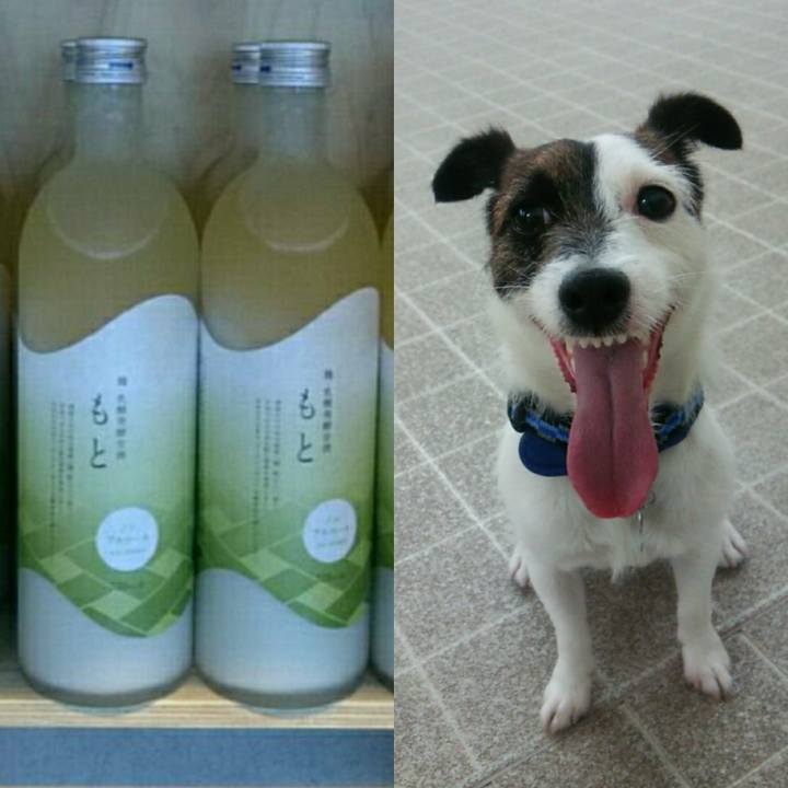 5eafbb24 0e95 404a 9437 330e9edb3f70 1518046006671