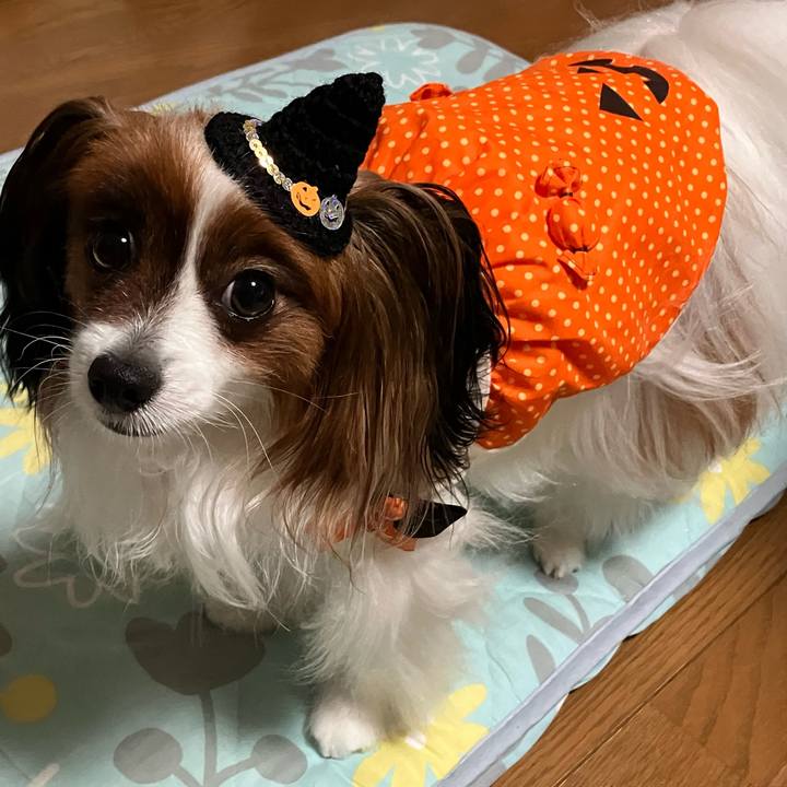 5eafcc0a 9aba 4525 83a2 0af5bfb57a93 1698745616912