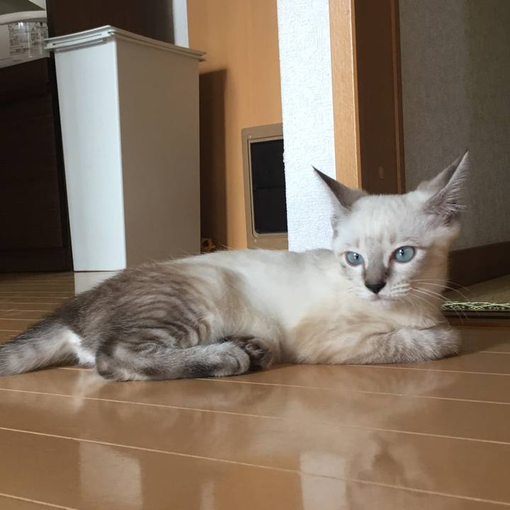 5eafd015 a034 434e bfd6 695db7dbd47e 1533871812263