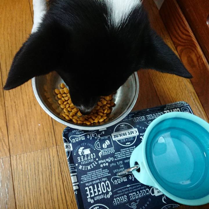 5eb00e3f f50c 409f 9f72 0ed7739d4801 1540167472136