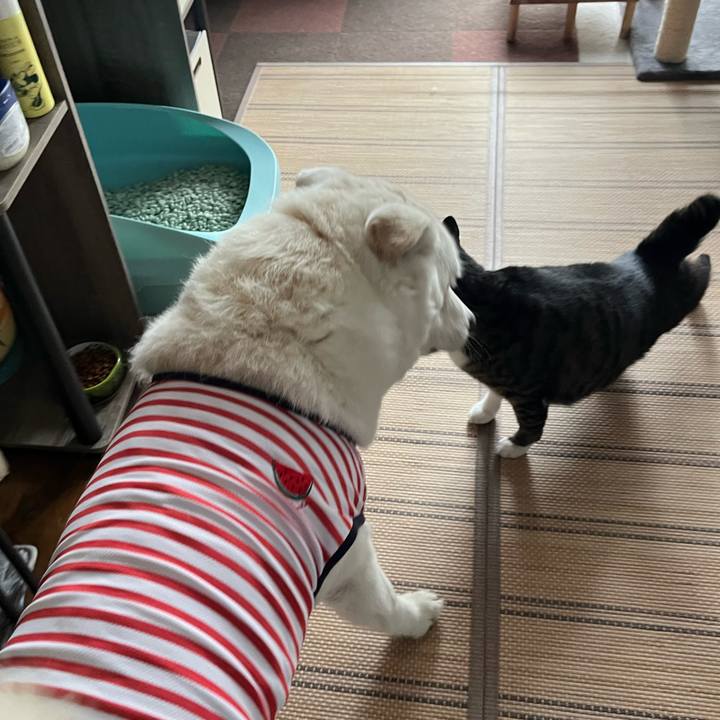 5eb01c4b 8449 44d1 8c84 1d4ff213423e 1759185739920