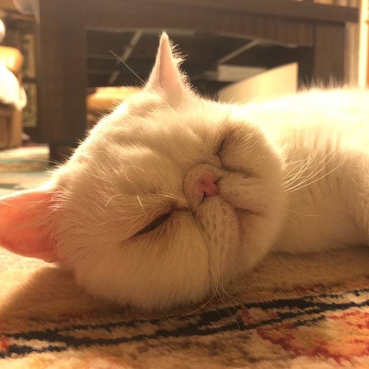 5eb03fac b6c2 4846 b4ef 2bf754202383 1622201179168