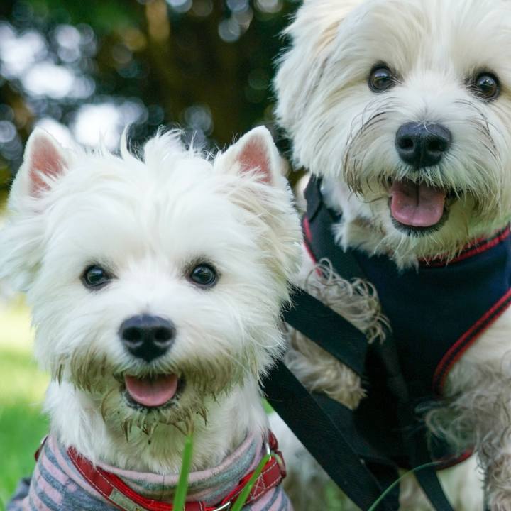 5eb04814 3308 451e bd68 88cc88dba75b 1534377486206