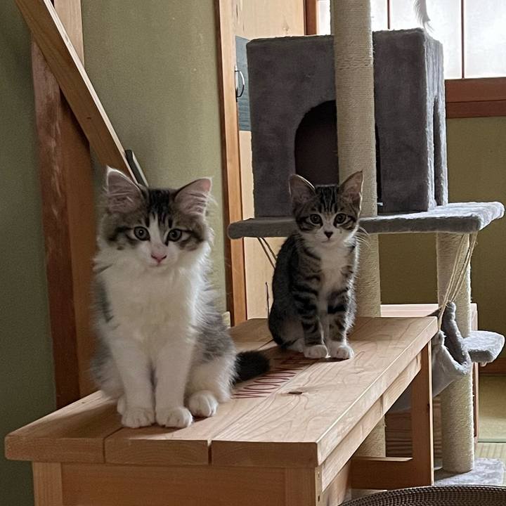 5eb04d1d 3f05 40d8 87ab fa71544d86bb 1689055312539