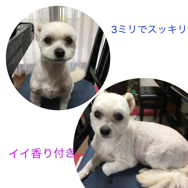 5eb07c98 1ce3 4bc8 b85c f6266d5b2223 1532590743576