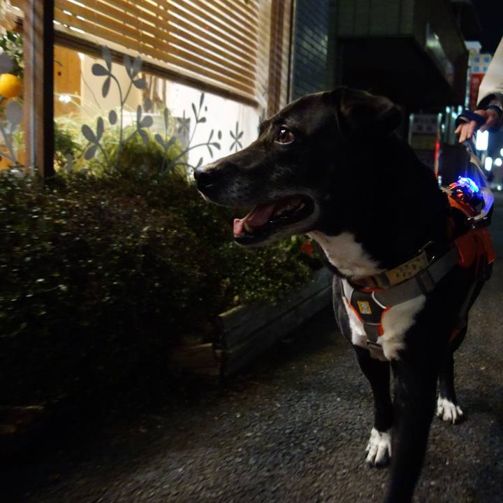 5eb0a01a 3686 4f0d bf7f 4802814a6ae6 1742825738745