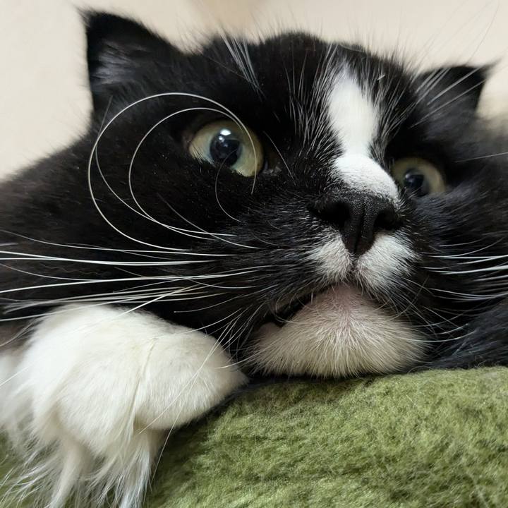 5eb0aea5 3297 4c7a b2dd f80dbd3408ce 1733052270586