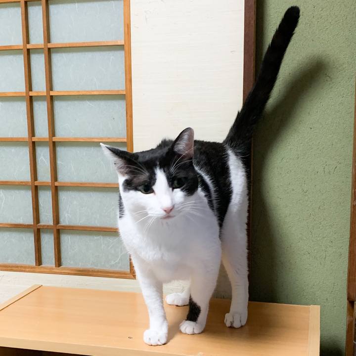 5eb0aea6 1528 4fb5 addc 4367f451accf 1571275681187