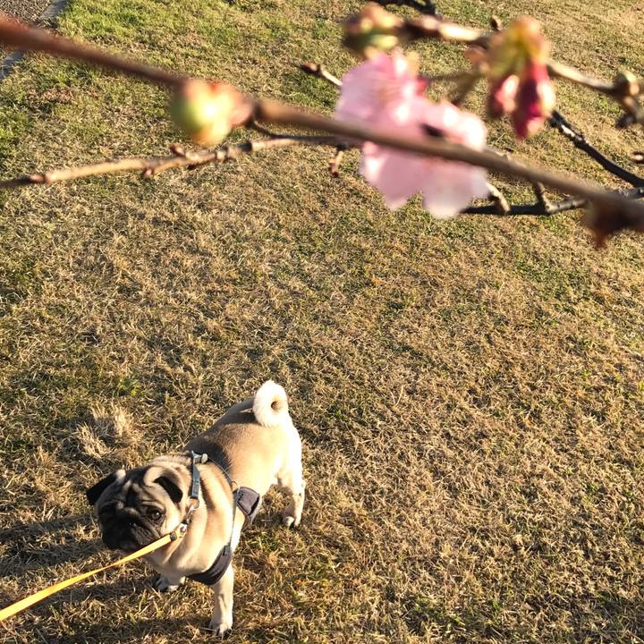 5eb0e37b b1bb 4387 af23 6aedcf927b21 1512904415520