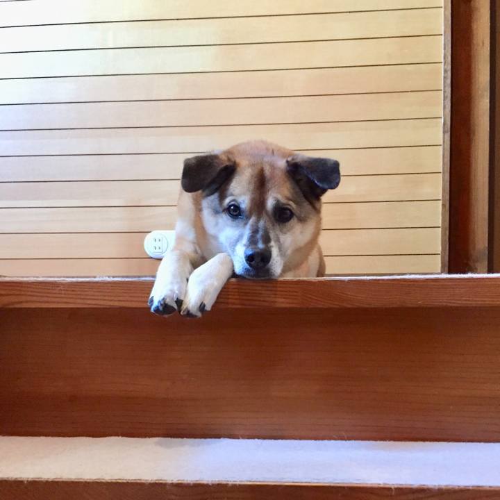 5eb0f51e 5ab6 4fb2 ba27 e53dace49d91 1555370909682