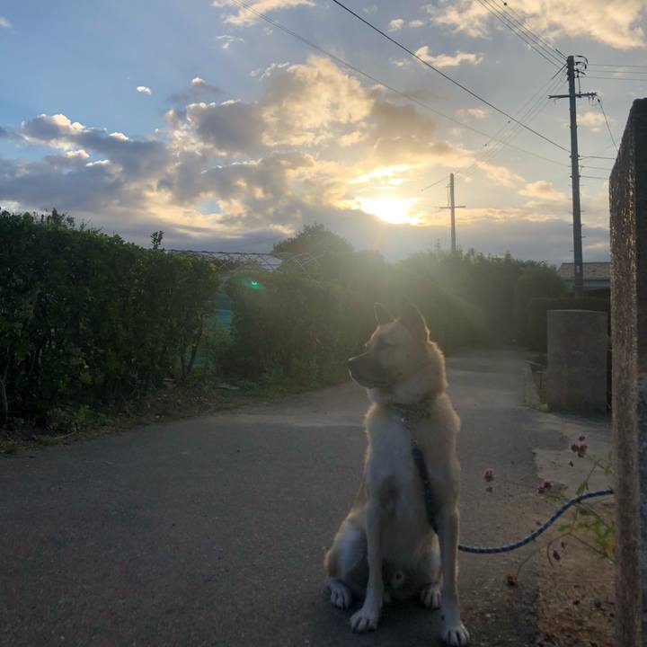 5eb0fae2 dcad 4146 8f9b 85d3c747254d 1633951720083