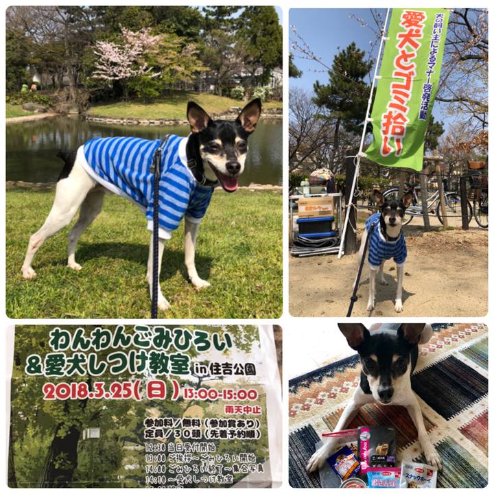 5eb12b63 d844 4eba b2c5 e747513be2f6 1521965797867