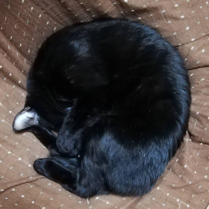 5eb15bce 9a14 4f6d bf78 2cb3a0dd440f 1606644670424