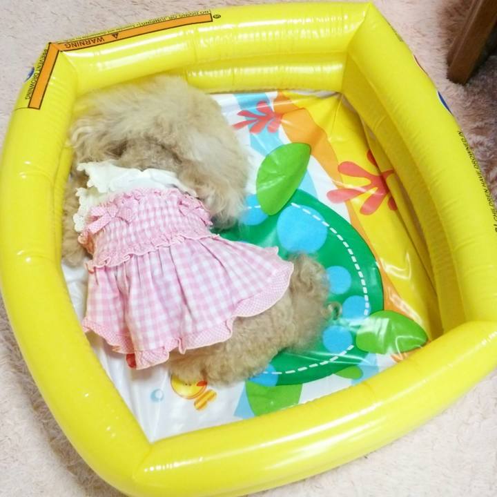 5eb1671c 0687 40aa af71 62235e6f3d34 1559131746481