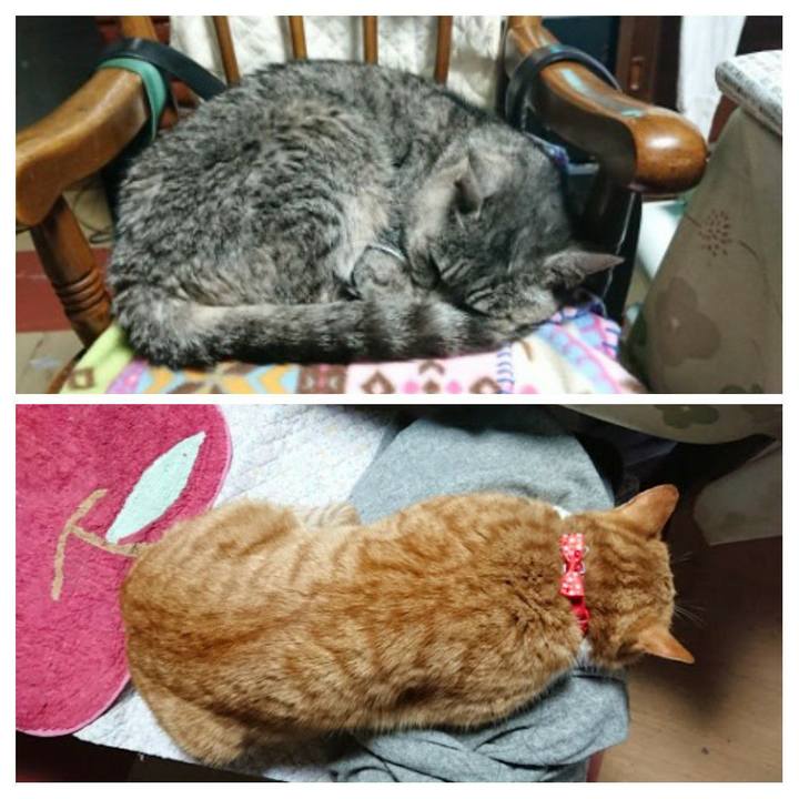 5eb1902c 56e9 4206 9ba3 f762fef81ca4 1576880024238