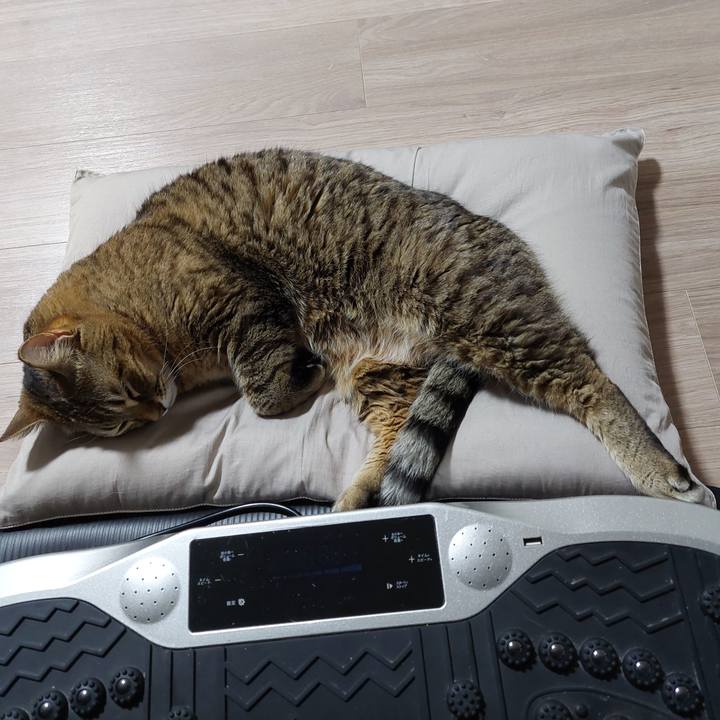 5eb1b1ee 4810 4688 a266 a21a87f47e33 1644412661192