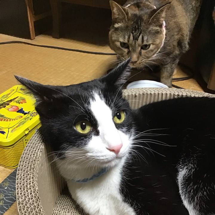 5eb1c4d4 df04 44f7 b289 1f737403736b 1698489945330