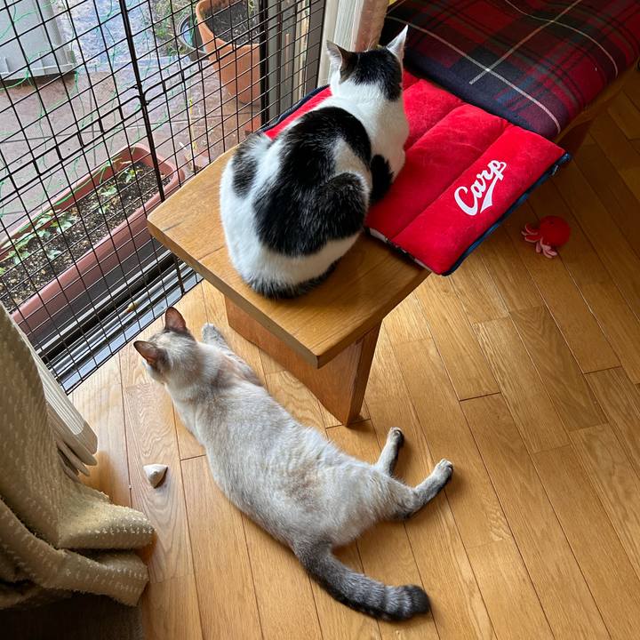 5eb2587f 97cf 44db 9ab3 b12aead9e052 1751237394283