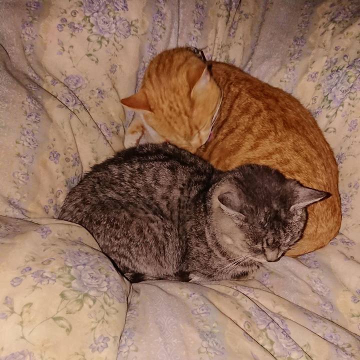 5eb2649f 8efb 4a66 a8cf 847e16b28512 1607080875347