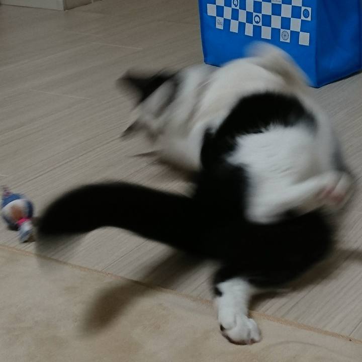 5eb2af9b ef34 4d99 a956 bf3998409be9 1547079208275