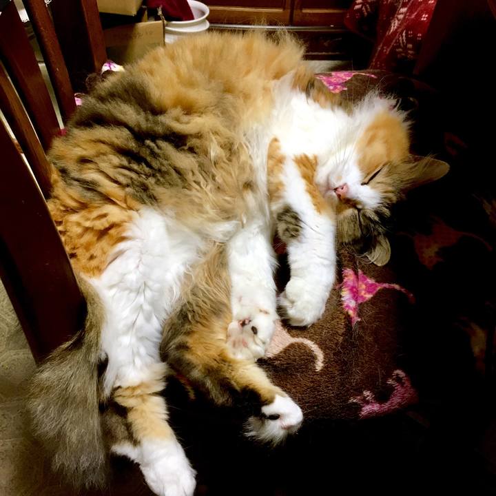 5eb2d21a 7647 49a5 8121 f7bb7e31b48d 1568691524506