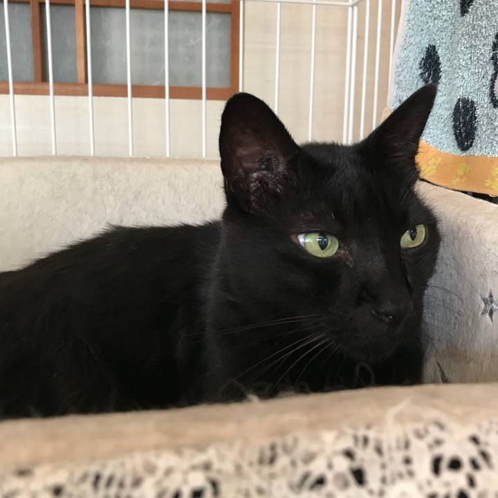 5eb2d897 1de9 4333 bc35 8a14939bf54c 1534123043784