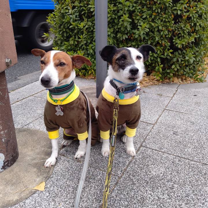 5eb31c22 6cf5 4130 9e95 89ce58cd7860 1704926964826